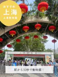 【上海動物園】パンダに会える動物園🐼