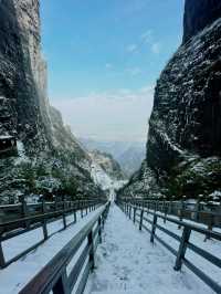 Tianmen Snow Guide🗻