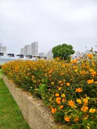 南京江心洲遛娃|真的已經到了next level