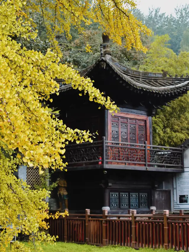 Ancient Guanyin Zen Temple in Xi'an: A Golden Legend Spanning a Thousand Years