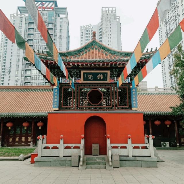 Concrete Jungle of Shenyang 🏙️