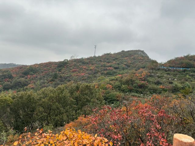 秋雨染山色最美
