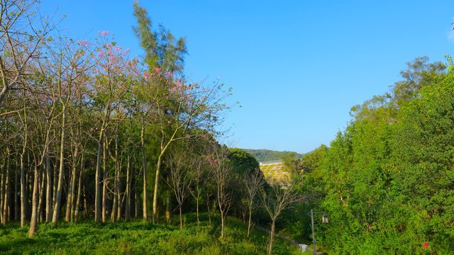 晉安丨登雲溪