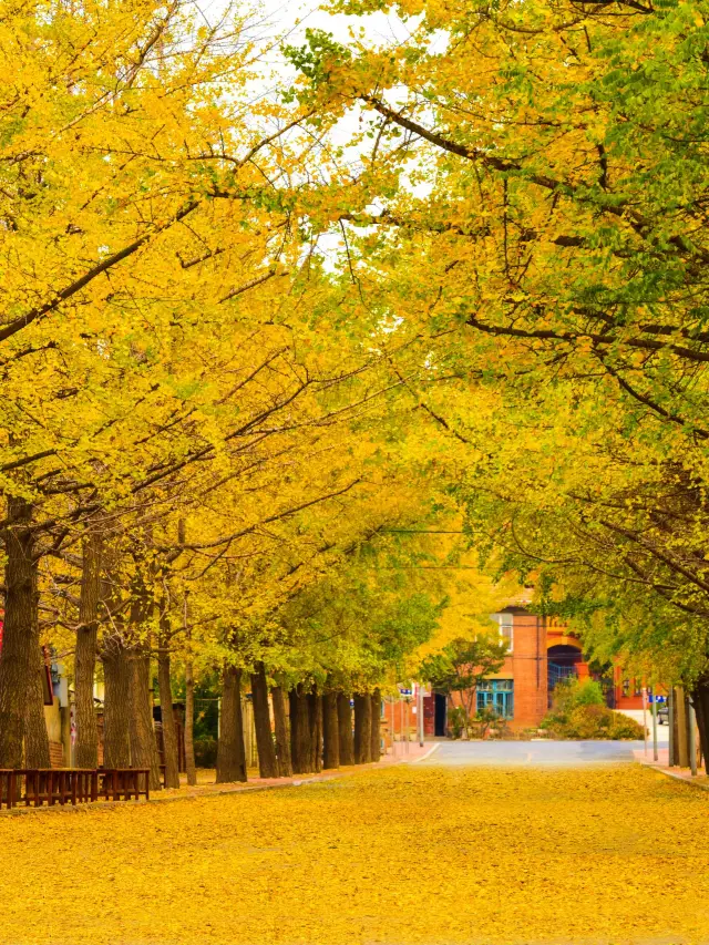 Next month in Dalian looks like this