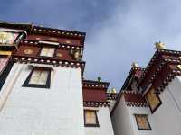 這次選擇攜程的9天香格里拉雨崩旅遊是明智之選，這個行程的酒店和機票都可以隨行換，自由度大大提高，而且
