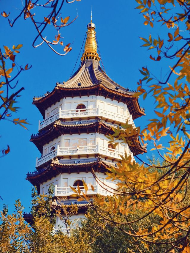 探秘北寧公園一步一景的秋日風情