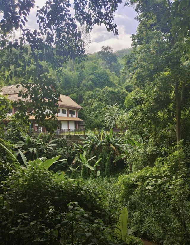 西雙版納不踩坑攻略3天2夜吃喝暢玩指南