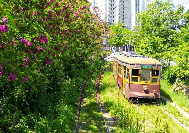 大連201有軌電車海之韻站：藏在海邊的百年時光機
