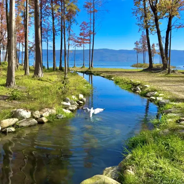 Autumn in Yunnan, a hidden gem unknown to travelers