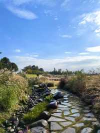 上海秋遊別再亂逛了!辰山植物園這波秋日限定真的戳爆我!