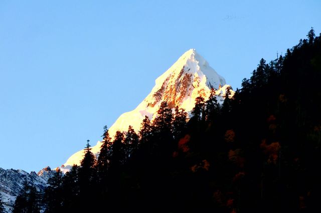 秋天在雨崩村欣賞梅里雪山的日照金山