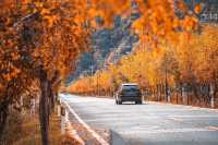 絕了！藏在邯鄲的七彩秋色仙境三條路線任你選