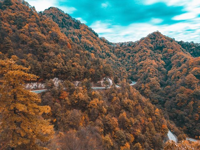 絕了！藏在邯鄲的七彩秋色仙境三條路線任你選