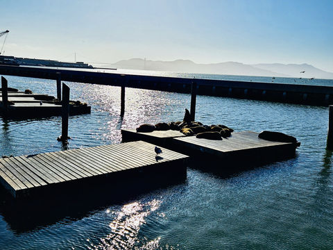 加州之旅 加州之旅