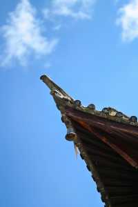 【大理私藏秘境｜穿越回300年前的銀杏書院】