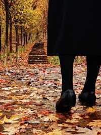 誰說看紅葉一定要去日本？河北這座小三峽美炸了！