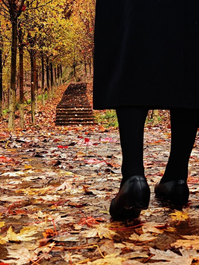 誰說看紅葉一定要去日本？河北這座小三峽美炸了！