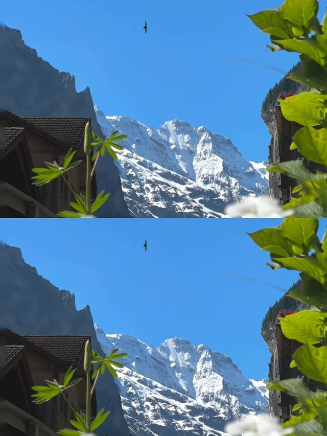 是誰闖入了瑞士少女峰的童話世界裡！