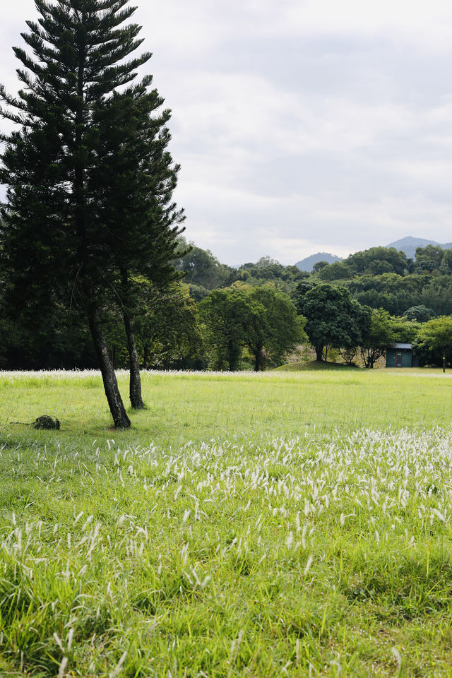 遁入鯉魚洲,邂逅一場山水夢境 遁入鯉魚洲,邂逅一場山水夢境