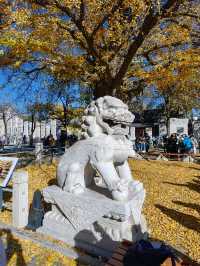 北京石刻藝術博物館