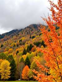 甘肅版九寨溝被我搵到喇！匿喺隴南嘅彩林秘境