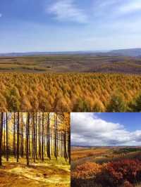 壩上秋色絕美打卡點，這個季節最適合