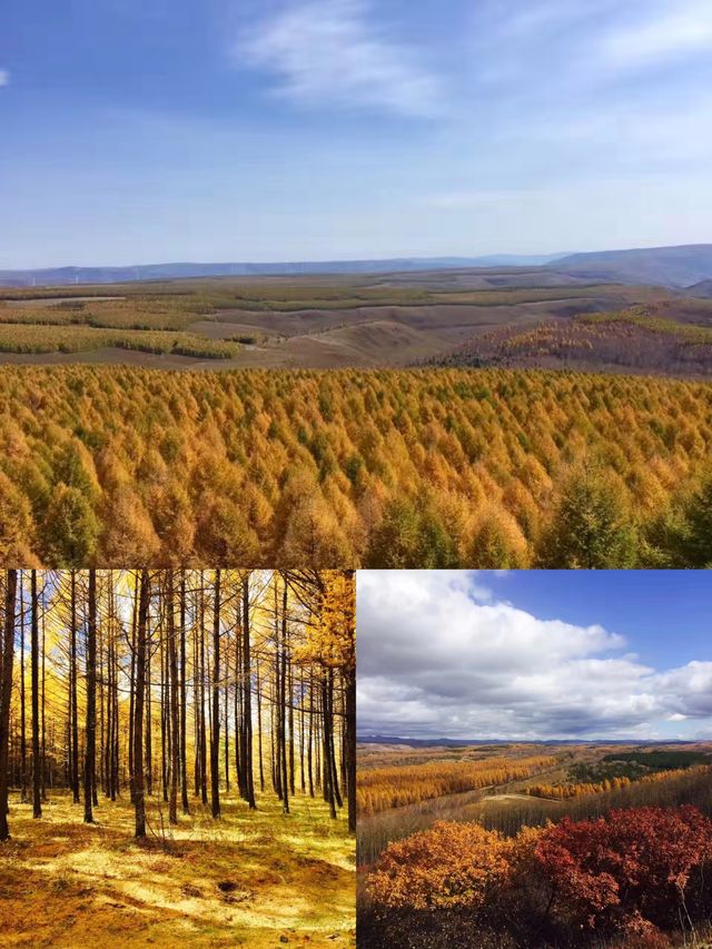 壩上秋色絕美打卡點，這個季節最適合