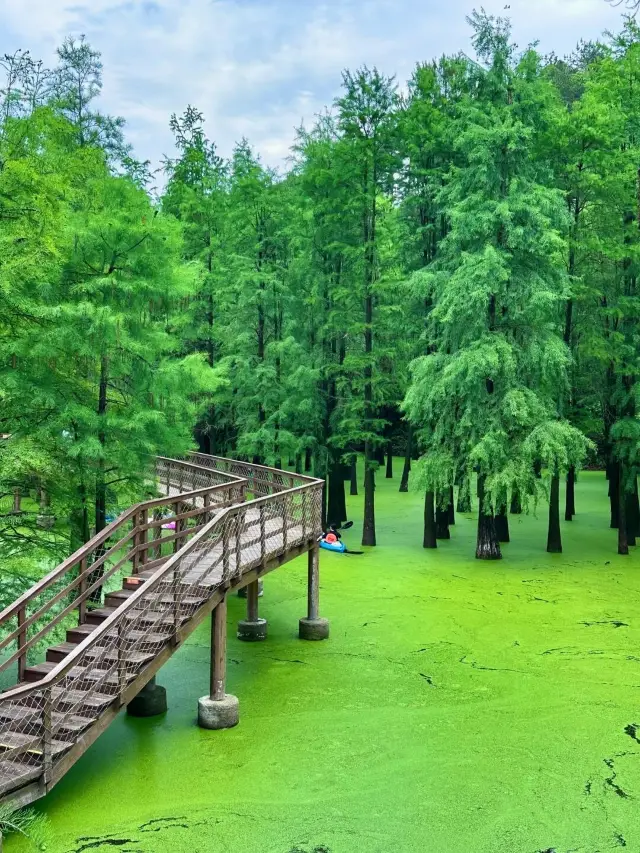 遊客真少朋友都懷疑我帶她去了假西湖