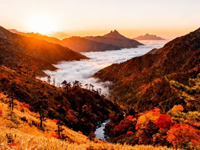 山臺灣中央山脈 山臺灣中央山脈