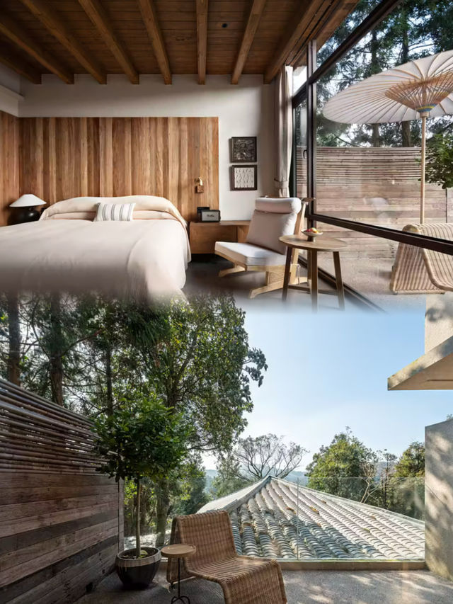 窗外即前景大片!穿越森林的藝術秘境 窗外即前景大片!穿越森林的藝術秘境