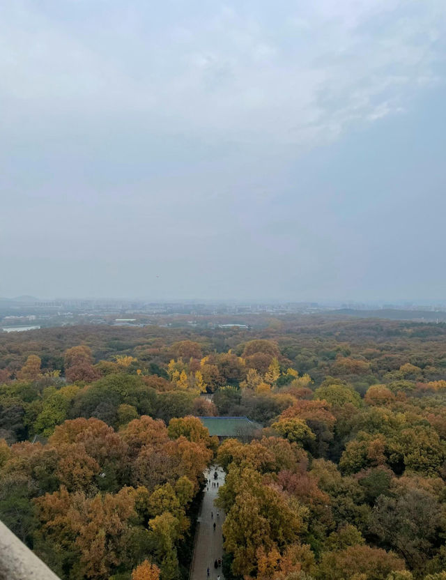 南京5年打工人的超濃縮攻略本地人帶你玩轉六朝古都