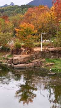 徽州古城秋日漫步