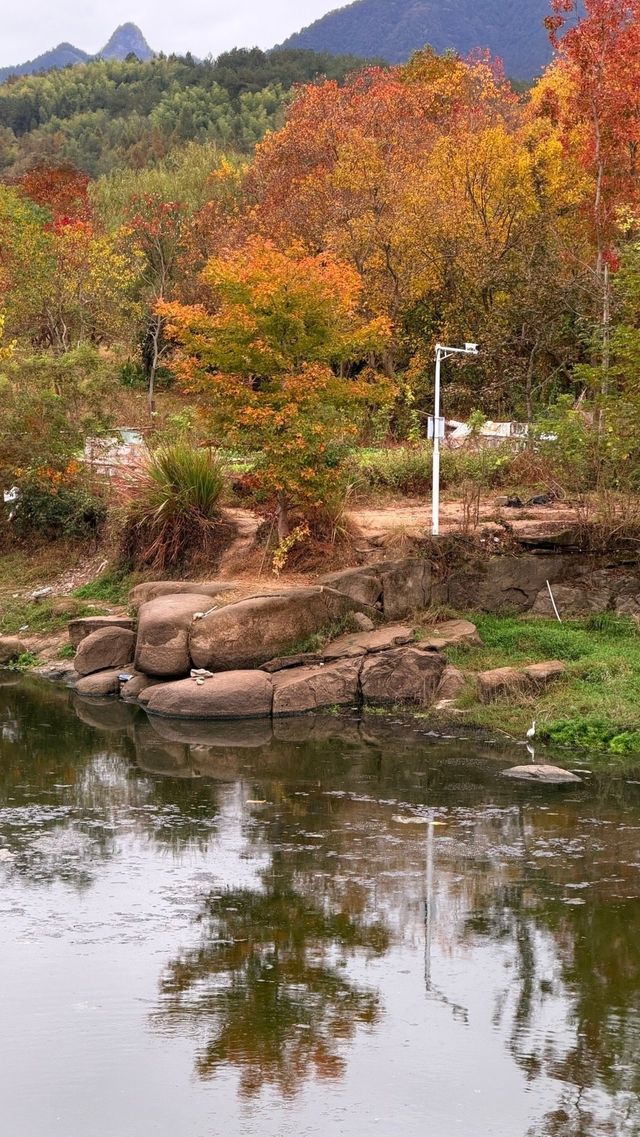 徽州古城秋日漫步