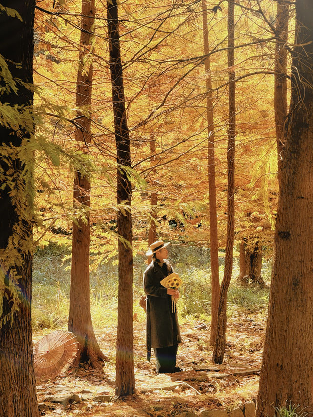 南京99%的人都不知道這裡， 出片還人少