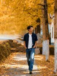 帽峰秋語：在金色秘境治癒心靈