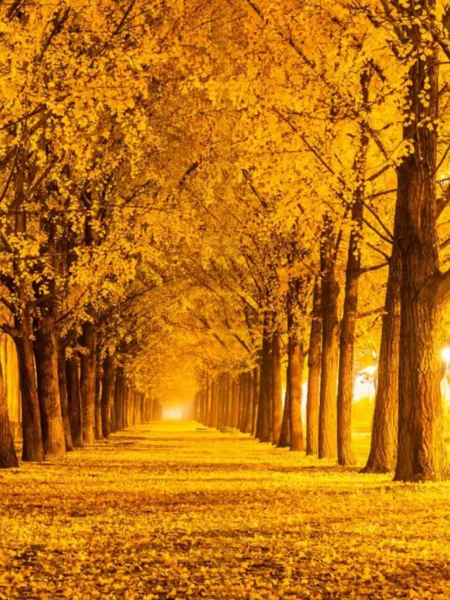 深受北京人喜愛，人氣爆棚！