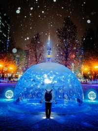 北海道札幌冬日點燈全攻略比東京還浪漫的白色燈樹節?