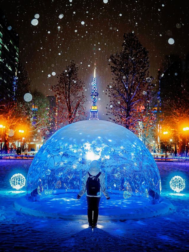 北海道札幌冬日點燈全攻略比東京還浪漫的白色燈樹節?