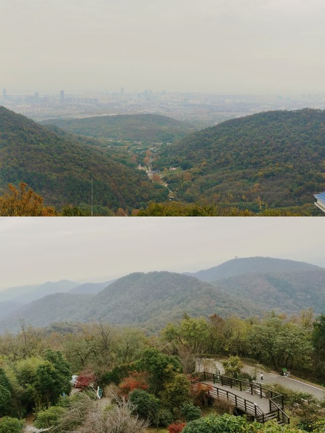 南京老山冬日限定！私藏絕美觀景台