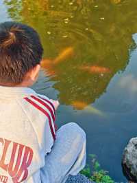 解鎖金陵秋日限定浪漫