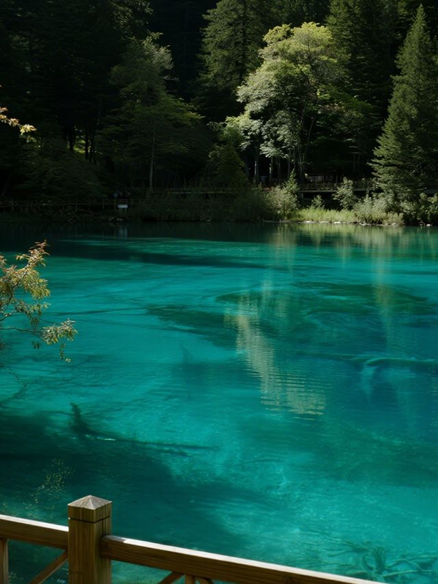 九寨溝親子童話遊！彩林海子+7天環線攻略