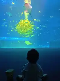 陵水親子酒店天花板現實版童話宮殿