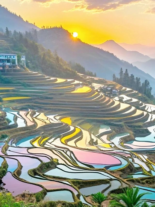 《國家地理》沒騙我12月的元陽梯田 《國家地理》沒騙我12月的元陽梯田