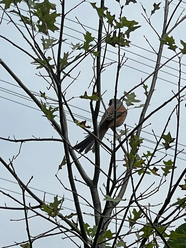 泉州好去處14/100｜新建空中步道路線