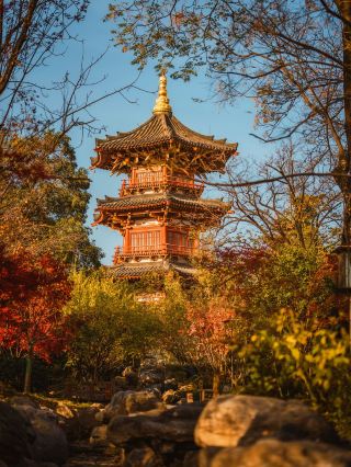 Catch the last autumn bus in Xi'an