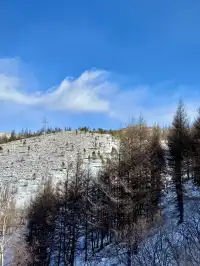 樺皮嶺已回！遊玩攻略已發！評論區有問必答