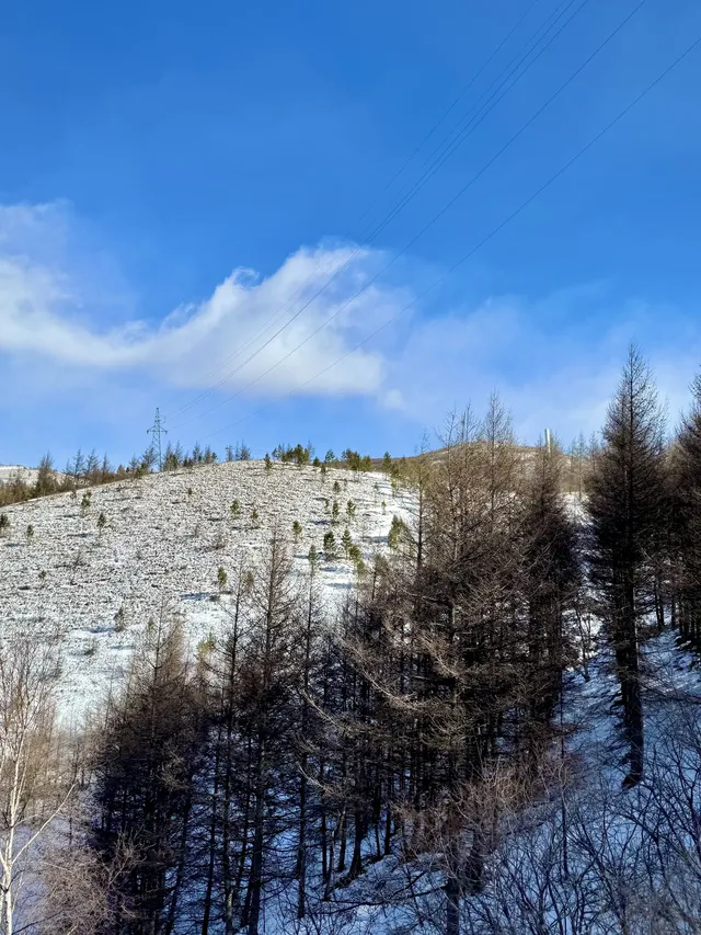 樺皮嶺已回！遊玩攻略已發！評論區有問必答