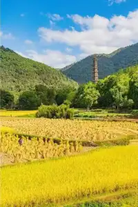 秋日國清寺:在千年古剎尋一份靜謐