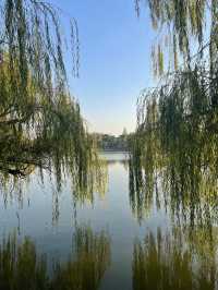 江南最後的秘境!慈城古鎮一日遊保姆級攻略