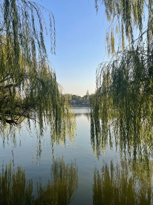 江南最後的秘境!慈城古鎮一日遊保姆級攻略 江南最後的秘境!慈城古鎮一日遊保姆級攻略